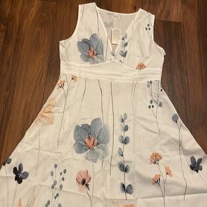 NWT Women's V Neck, white with blue/pink flowers Maxi Dress Size: Large